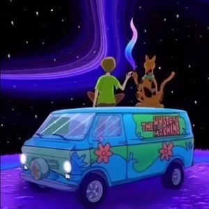 Meet your Posher, Jess